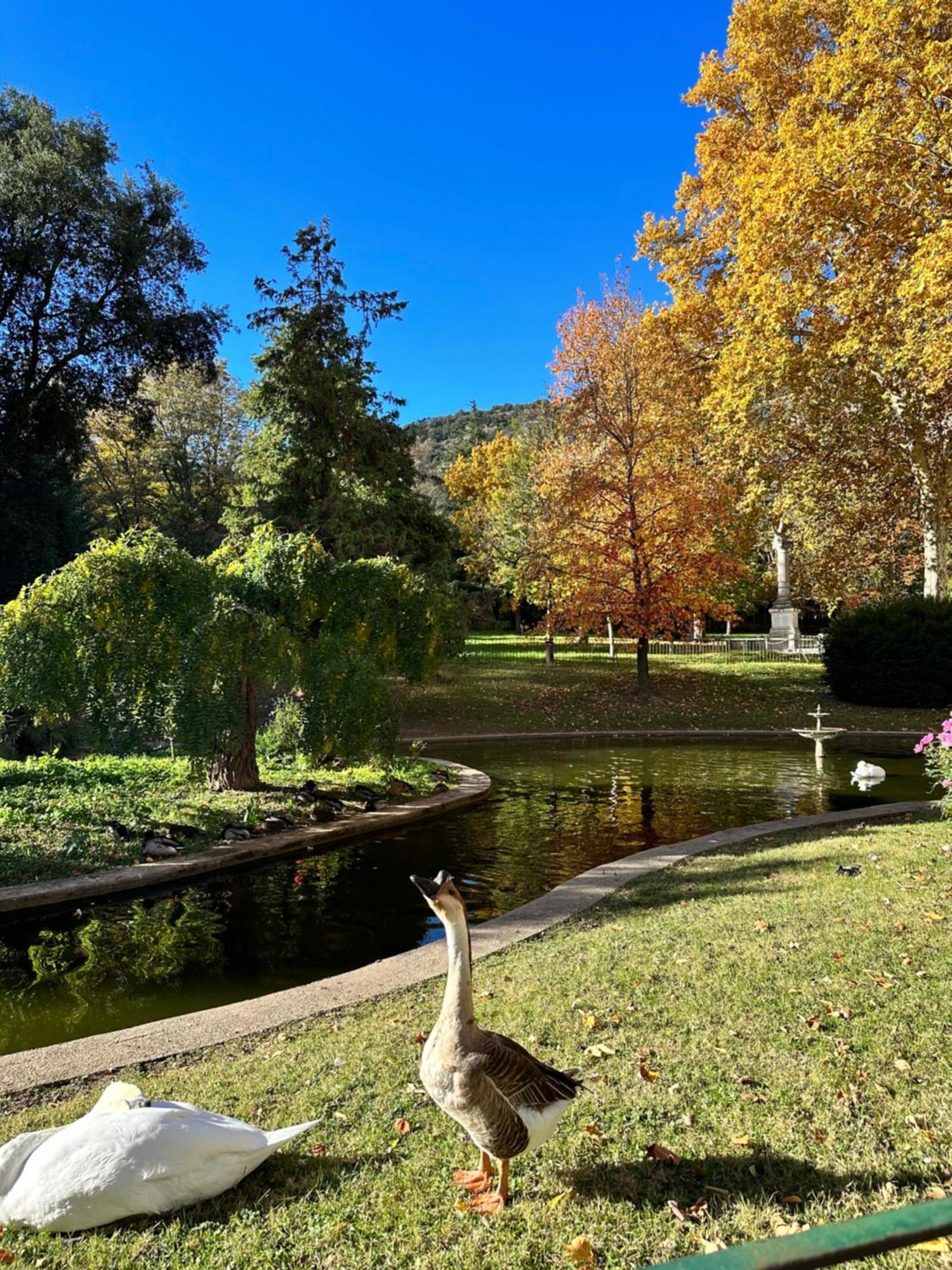 Le Perchoir Du Parc Coeur Historique Anduze Apartman Kültér fotó